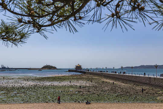 青岛海滨风光