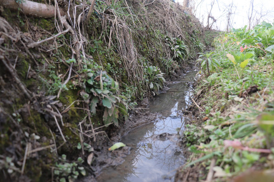 水沟