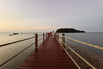 海岛之桥（海陈岛红树林）