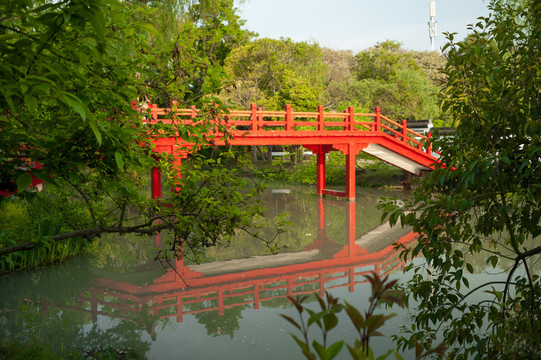 木桥栈道