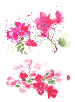 葉子花