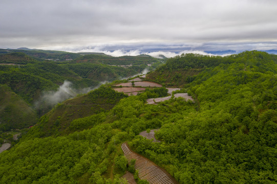 美丽乡村