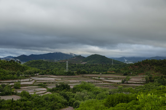 烟田风光