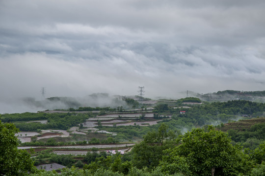 烟田风光