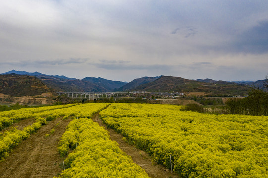 农田风光