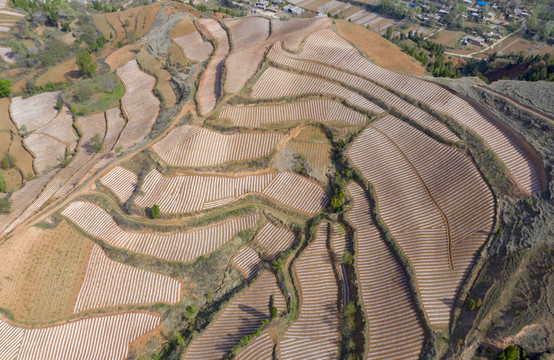 田园风光