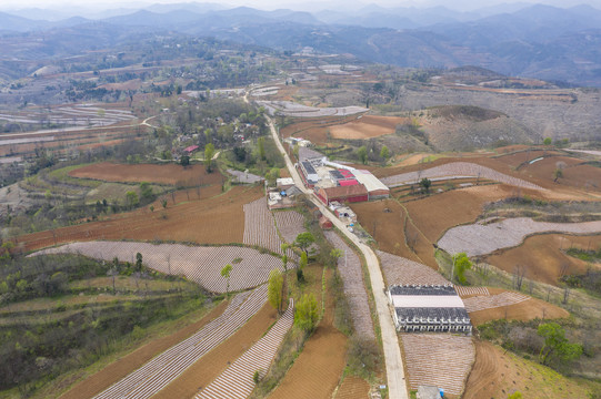 田园