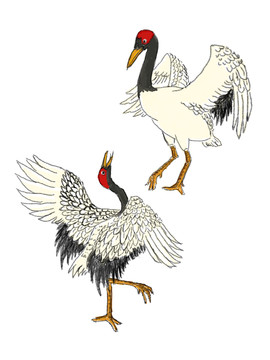 兩只仙鶴