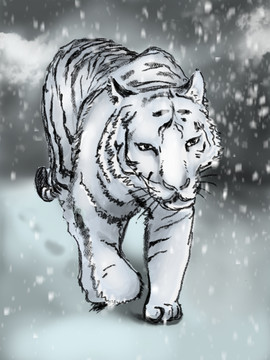风雪中的老虎
