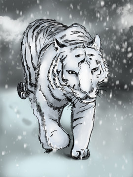 風(fēng)雪中的老虎