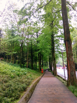 青城山风景