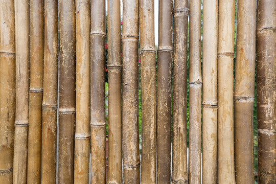 竹栅栏背景实拍