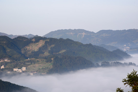 高山云雾