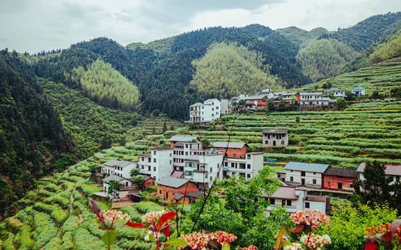 浙江开化台回山