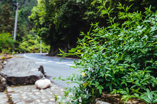 浙江钱江源进山公路