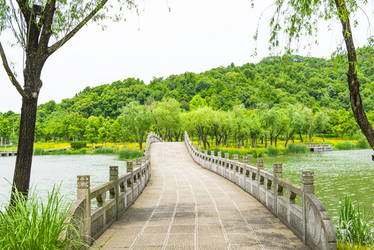 湘湖泳月桥