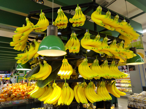 香蕉展示品