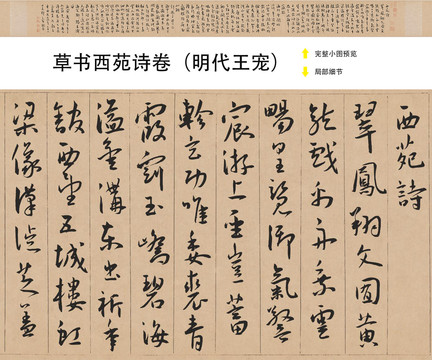 王寵草書西苑詩卷