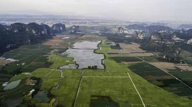 上林毛塘湿地