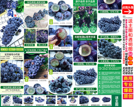 夏黑葡萄詳情頁