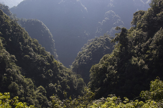 深山