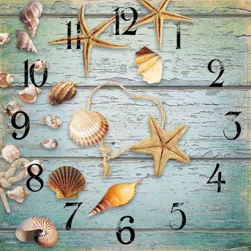 海灘海星海螺鐘面花紙