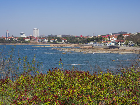 青岛海滨风光