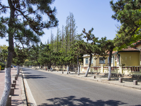 青岛街景