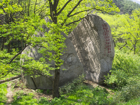 青岛崂山劈石口