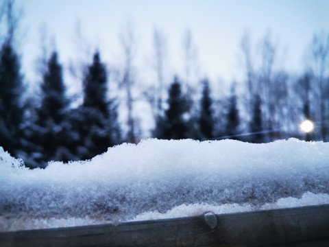 冬雪