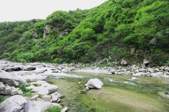 青山绿水大秦岭