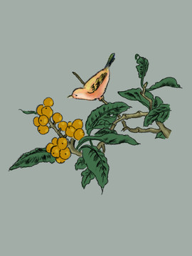 花鳥白描