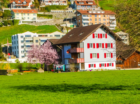 瑞士农庄