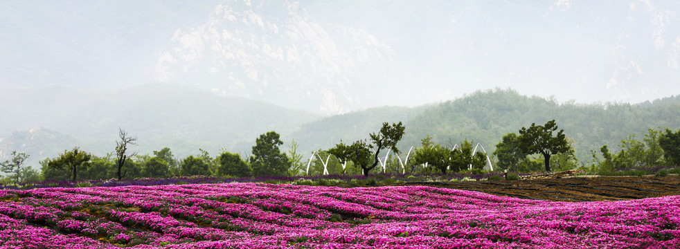 花海远山