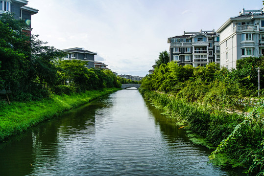 小区中的小河流