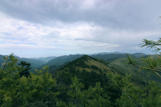 大秦岭