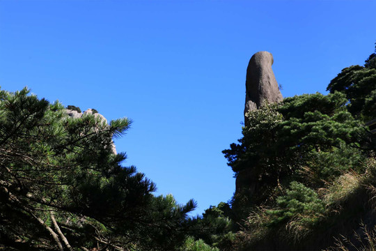 黄山奇峰