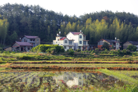 小村风景