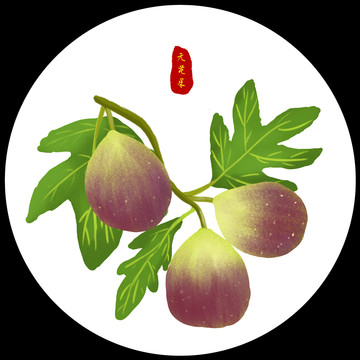 高清分層手繪無花果