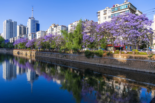 流淌于城市的河流