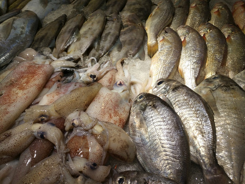 鲳鱼海产品
