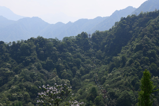 青城后山索道