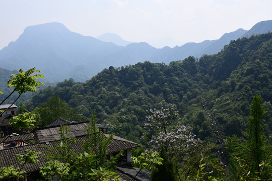 青城后山