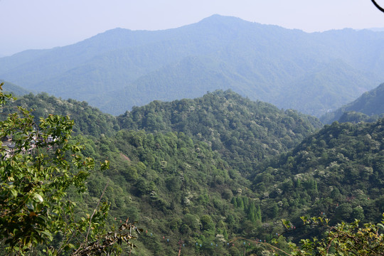 青城后山