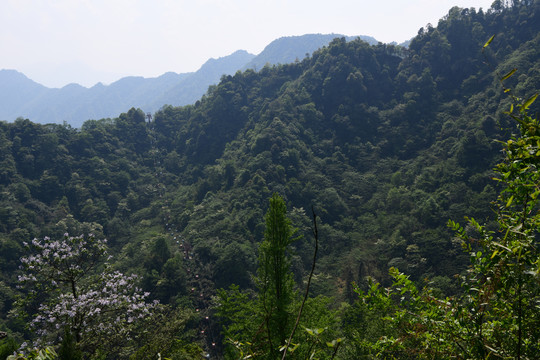 青城后山