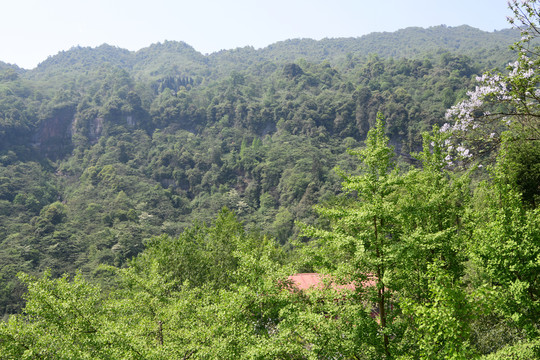 青城后山