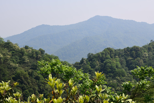 青城后山