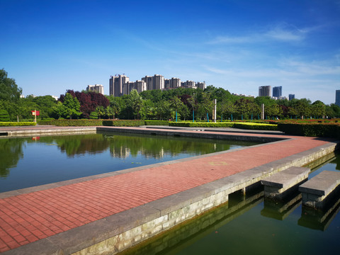 洛阳隋唐遗址植物园