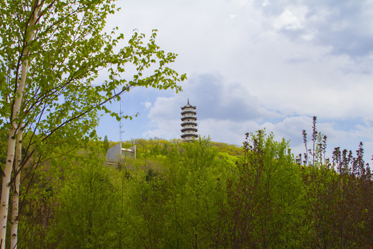 石头口门水库