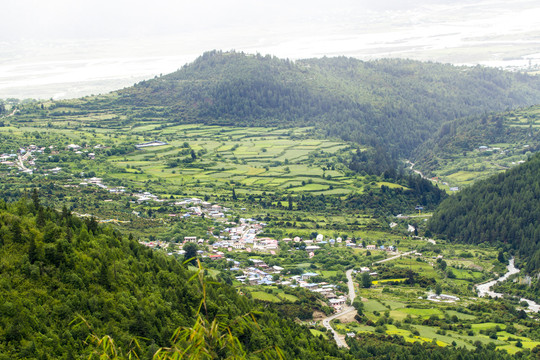 田园